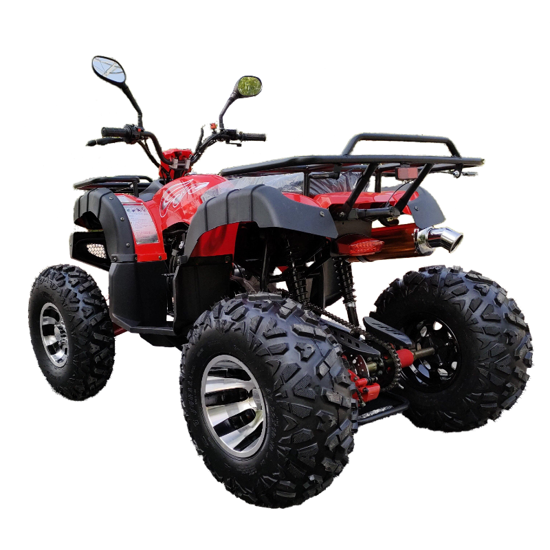 Hot sale model 150cc atv 4X2 2 wheel 4 wheel ATV off road for sale